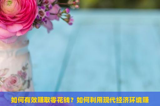 如何有效赚取零花钱？如何利用现代经济环境赚取更多财富？