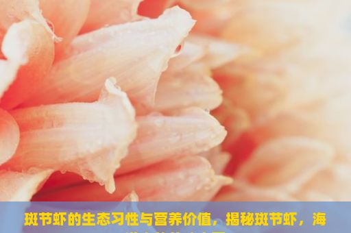 斑节虾的生态习性与营养价值，揭秘斑节虾，海洋中的美味宝藏