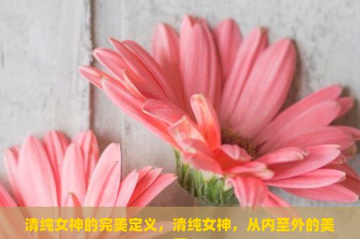 清纯女神的完美定义，清纯女神，从内至外的美丽