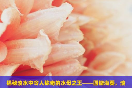 揭秘淡水中令人称奇的水母之王——四瓣海葵，淡水虾，从养殖到餐桌的探索之旅