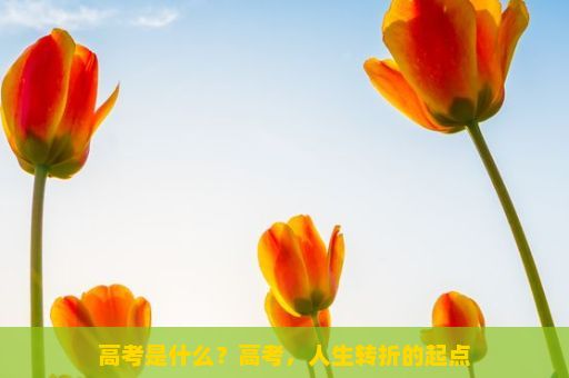 高考是什么？高考，人生转折的起点