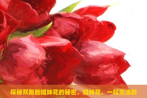 探秘双胞胎姐妹花的秘密，姐妹花，一段无法割舍的情缘