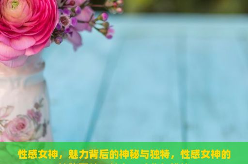 性感女神，魅力背后的神秘与独特，性感女神的神秘面纱，魅力、才华与挑战