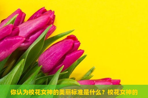 你认为校花女神的美丽标准是什么？校花女神的魅力与传奇