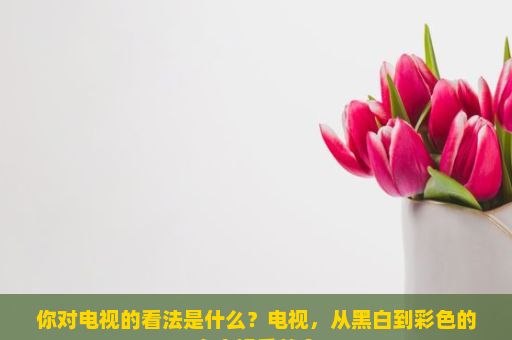 你对电视的看法是什么？电视，从黑白到彩色的家庭娱乐革命