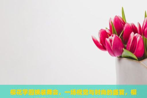 樱花学园换装舞会，一场视觉与时尚的盛宴，樱花学园换装舞会的游戏规则与玩法