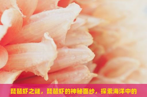 琵琶虾之谜，琵琶虾的神秘面纱，探索海洋中的美味佳肴