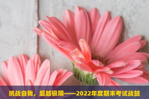 挑战自我，超越极限——2022年度期末考试战鼓已经擂响