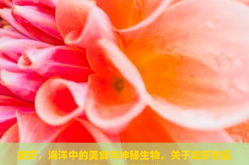 龙虾，海洋中的美食与神秘生物，关于龙虾的起源、品种和习性