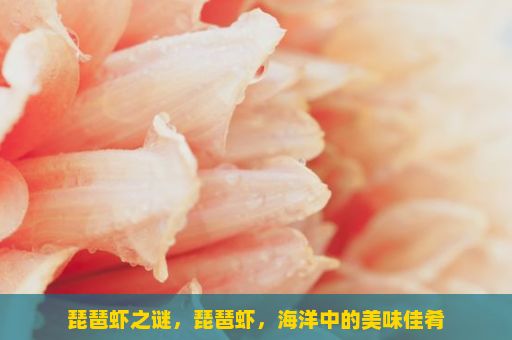 琵琶虾之谜，琵琶虾，海洋中的美味佳肴