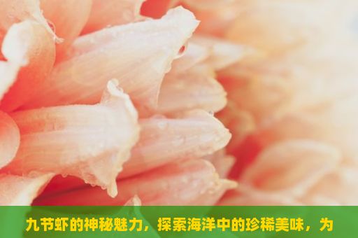 九节虾的神秘魅力，探索海洋中的珍稀美味，为什么某些九节虾只吃一种壳？
