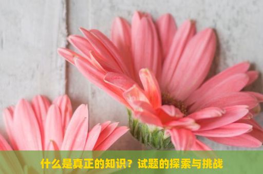 什么是真正的知识？试题的探索与挑战