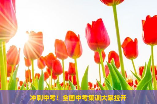 冲刺中考！全国中考集训大幕拉开