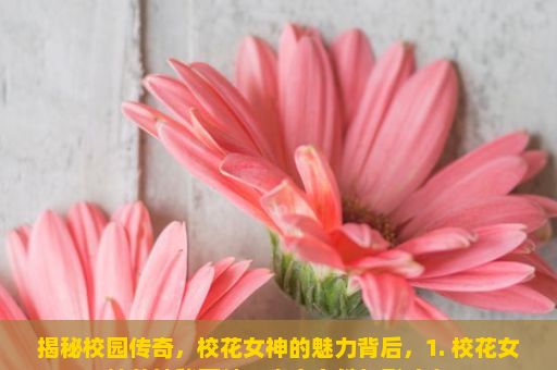 揭秘校园传奇，校花女神的魅力背后，1. 校花女神的神秘面纱，真实身份与影响力