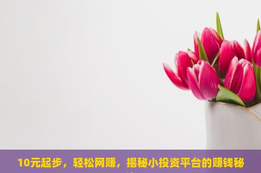 10元起步，轻松网赚，揭秘小投资平台的赚钱秘诀