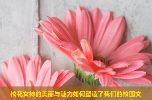 校花女神的美丽与魅力如何塑造了我们的校园文化？揭秘校园传奇，校花女神的魅力背后