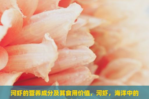河虾的营养成分及其食用价值，河虾，海洋中的微小奇迹