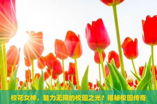 校花女神，魅力无限的校园之光？揭秘校园传奇，校花女神的魅力背后