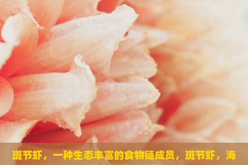 斑节虾，一种生态丰富的食物链成员，斑节虾，海洋中的美味珍品