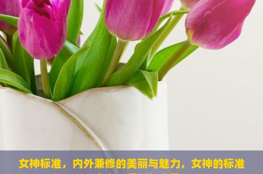 女神标准，内外兼修的美丽与魅力，女神的标准，定义、评判与启示