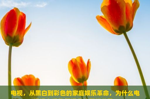 电视，从黑白到彩色的家庭娱乐革命，为什么电视没有像我们想象的那样普及？