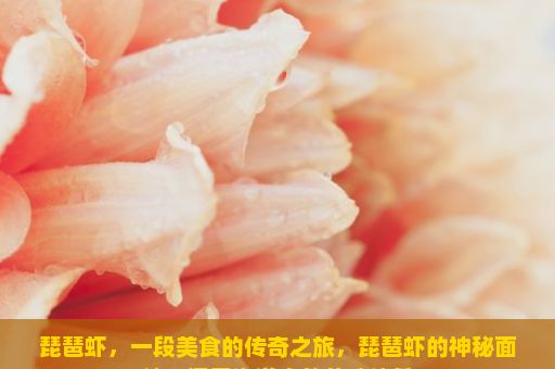 琵琶虾，一段美食的传奇之旅，琵琶虾的神秘面纱，探索海洋中的美味佳肴