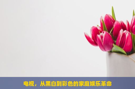 电视，从黑白到彩色的家庭娱乐革命