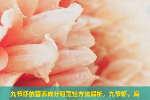 九节虾的营养成分和烹饪方法解析，九节虾，海洋的瑰宝与餐桌上的佳肴