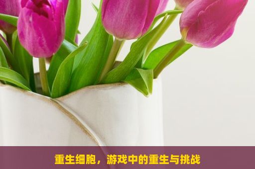 重生细胞，游戏中的重生与挑战