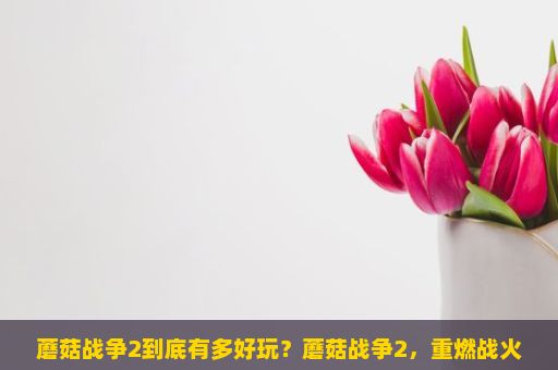 蘑菇战争2到底有多好玩？蘑菇战争2，重燃战火，再续经典