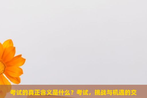 考试的真正含义是什么？考试，挑战与机遇的交织