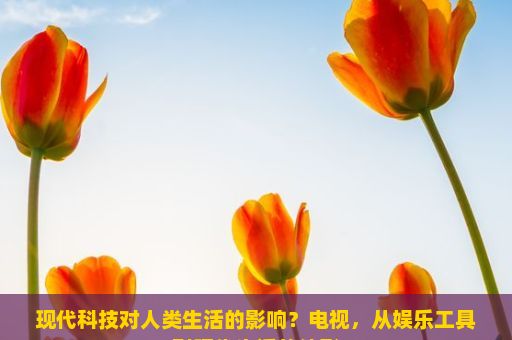 现代科技对人类生活的影响？电视，从娱乐工具到现代生活的缩影