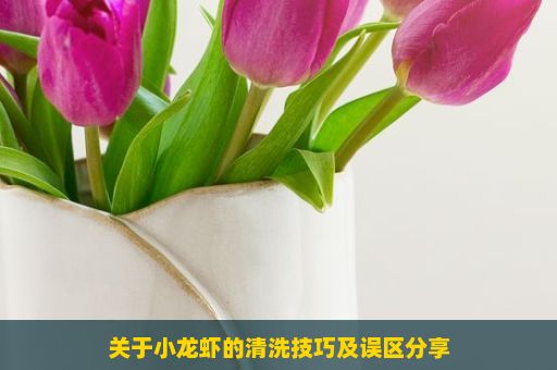 关于小龙虾的清洗技巧及误区分享