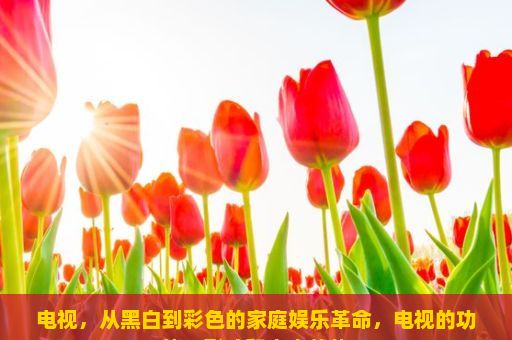 电视，从黑白到彩色的家庭娱乐革命，电视的功能、影响和未来趋势