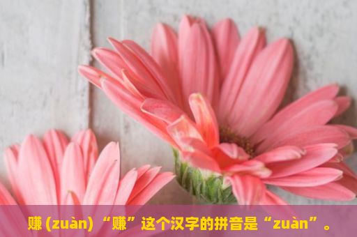 赚 (zuàn) “赚”这个汉字的拼音是“zuàn”。