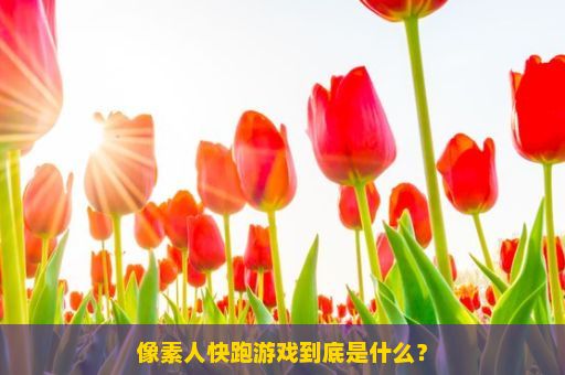 像素人快跑游戏到底是什么？