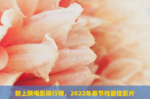 新上映电影排行榜，2022年春节档最佳影片