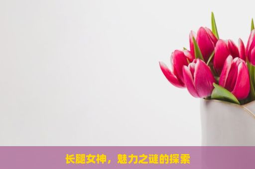 长腿女神，魅力之谜的探索