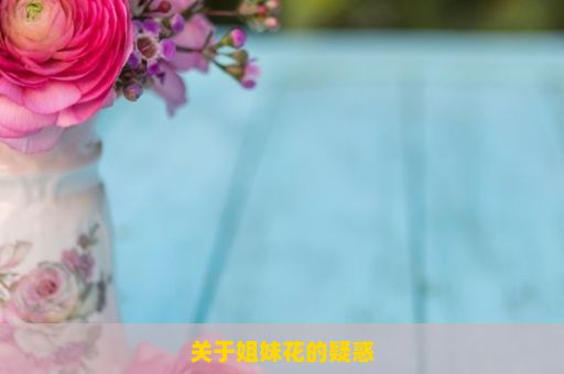 关于姐妹花的疑惑