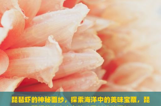 琵琶虾的神秘面纱，探索海洋中的美味宝藏，琵琶虾的生态生存策略及其价值探析