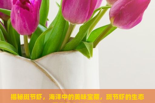 揭秘斑节虾，海洋中的美味宝藏，斑节虾的生态习性和食物链地位