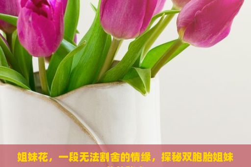 姐妹花，一段无法割舍的情缘，探秘双胞胎姐妹花的秘密