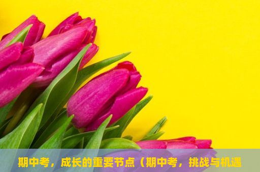 期中考，成长的重要节点（期中考，挑战与机遇的交织）