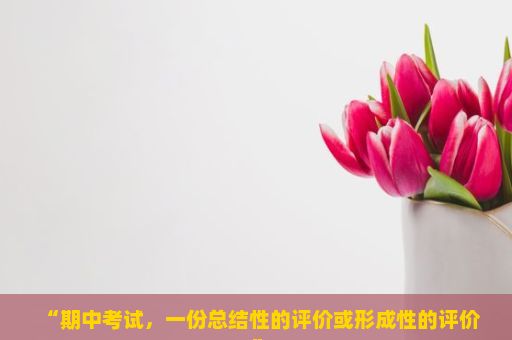 “期中考试，一份总结性的评价或形成性的评价”