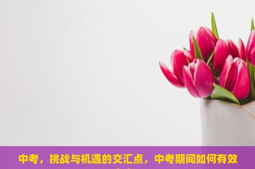 中考，挑战与机遇的交汇点，中考期间如何有效备考？