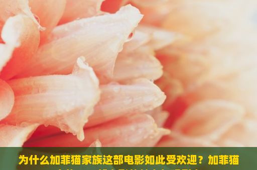 为什么加菲猫家族这部电影如此受欢迎？加菲猫家族，一部电影的魅力与吸引力