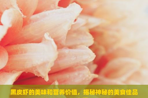 黑皮虾的美味和营养价值，揭秘神秘的美食佳品——黒皮虾