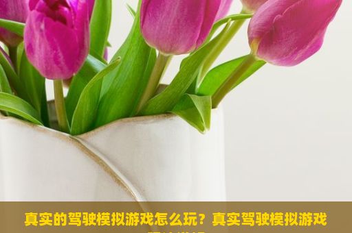 真实的驾驶模拟游戏怎么玩？真实驾驶模拟游戏玩法详解