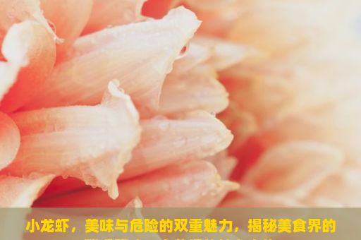 小龙虾，美味与危险的双重魅力，揭秘美食界的璀璨明珠，小龙虾的魅力之旅