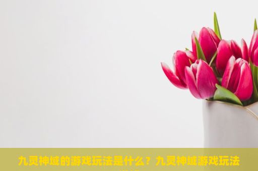 九灵神域的游戏玩法是什么？九灵神域游戏玩法详解